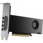 HP NVIDIA RTX PH x2xxx 4mDP Graphics
