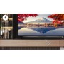 TCL S Soundbar S45H 2.0 canali, Dolby Atmos, supporto HDMI eARC, Bluetooth, 100W
