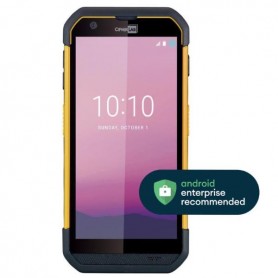 RS36 WI-FI/BTLE/LTE 4GB-64GB