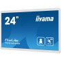 iiyama TW2424AS-W1 visualizzatore di messaggi Pannello piatto per segnaletica digitale 60,5 cm (23.8") Wi-Fi 250 cd/m² 4K Ultra