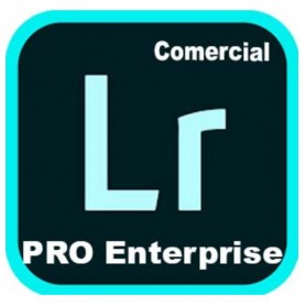 LIGHTR ED4 ENT ML NEW COM