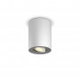 Philips Hue White ambiance Faretto singolo Pillar est. (929003046801)