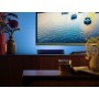 Philips Hue White and Color ambiance Barra luminosa Hue Play, confezione singola (915005733701)