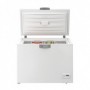 Beko HS22340 frigorifero e congelatore commerciali Libera installazione D (HS22340)