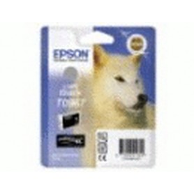 Epson Husky Cartuccia Nero chiaro (C13T09674020)