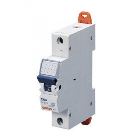 Gewiss GW92411 interruttore automatico 1 1 modulo/moduli (GW92411)