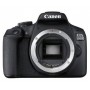 Canon EOS 2000D + EF-S 18-55mm f/3.5-5.6 III Kit fotocamere SLR 24,1 MP CMOS 6000 x 4000 Pixel Nero (2728C002)