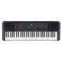 TASTIERA PORTATILE PSR-E273 (SPSRE273)