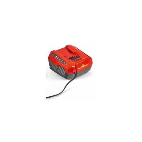 WOLF-Garten LYCOS 40/430 QC Caricatore per batteria (49AL401-650)
