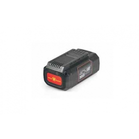 WOLF-Garten LYCOS 40/250 A Batteria (49AP401-650)