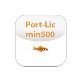LICENSE FOR 1 PBX PORT (501 - 1000 (02-00039-003)