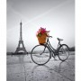 500PZ-  ROMANTIC PARIS (35014A)