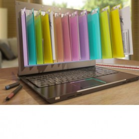 IRISMART  FOR FILE 10 (459046)