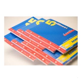 RICAMBIO BIANCO A5 RIGOQ 40FF (90524039B)