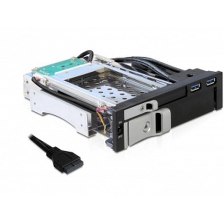 DeLOCK 47209 pannello drive bay 13,3 cm (5.25") condotto I/O Nero (47209)