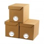 CF4800 ETICHETTE 52X24MM 100FF (LP4MS-5224)