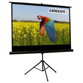 Celexon 1090261 schermo per proiettore 16:9 (1090261)