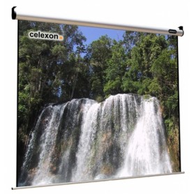 Celexon 1090110 schermo per proiettore 1:1 (1090110)