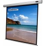 Celexon 1090065 schermo per proiettore 1:1 (1090065)