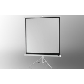 Celexon 1090271 schermo per proiettore 1:1 (1090271)