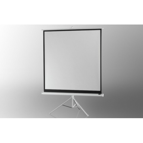 Celexon 1090271 schermo per proiettore 1:1 (1090271)