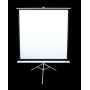Elite Screens Tripod schermo per proiettore 3,05 m (120") 4:3 (T120NWV1)