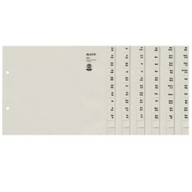 Leitz 13520085 divisore Carta Grigio (13520085)