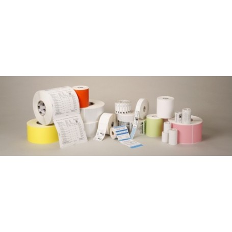Zebra 8000T CryoCool 51 x 25 Bianco (3004545)