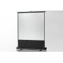 Celexon 1090361 schermo per proiettore 1:1 (1090361)