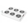 Digitus DN-19 FAN-6-SRV accessori di raffreddamento hardware Grigio (DN-19 FAN-6-SRV)