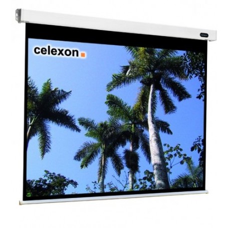Celexon 1090095 schermo per proiettore 4:3 (1090095)
