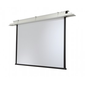 Celexon Professional 300 x 169 cm schermo per proiettore 16:9 (1090106)