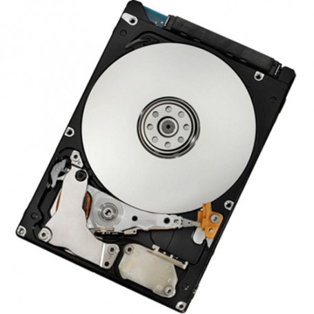 IBM 00Y2434 disco rigido interno 2.5" 1000 GB NL-SAS (00Y2434)