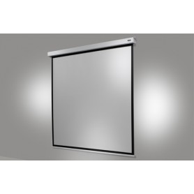 Celexon 1090793 schermo per proiettore 1:1 (1090793)