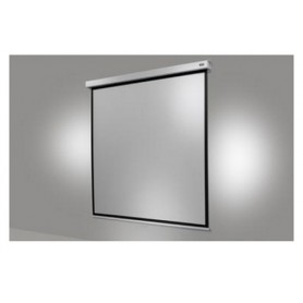 Celexon 1090779 schermo per proiettore 1:1 (1090779)
