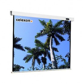 Celexon Mobil Expert 244 x 183cm schermo per proiettore 4:3 (1090337)
