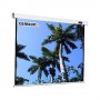 Celexon Mobil Expert 244 x 183cm schermo per proiettore 4:3 (1090337)