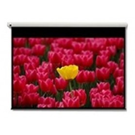 Optoma Pantalla 16:9 2656 x 1494mm schermo per proiettore 3,05 m (120") (DE-9120EGA)