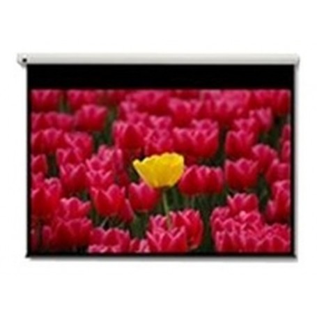 Optoma Pantalla 16:9 2656 x 1494mm schermo per proiettore 3,05 m (120") (DE-9120EGA)