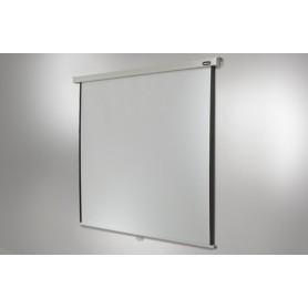 Celexon Professional schermo per proiettore 4:3 (1090054)