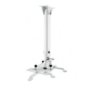 Hagor HA BDH supporto per proiettore Soffitto Acciaio inossidabile (5806)