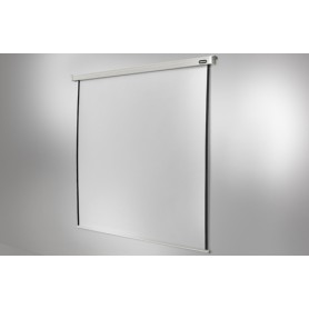 Celexon Professional schermo per proiettore 1:1 (1090091)