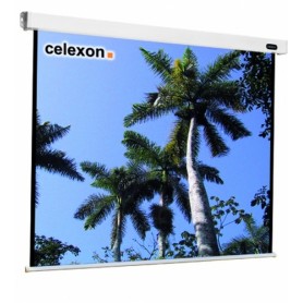 Celexon 1090088 schermo per proiettore 1:1 (1090088)