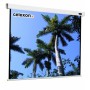 Celexon 1090088 schermo per proiettore 1:1 (1090088)