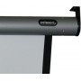 Celexon 1090120 schermo per proiettore 16:9 (1090120)