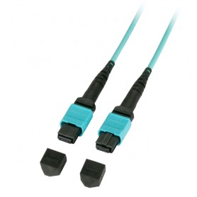 Lindy MTP (MPO) 20m cavo a fibre ottiche MPO/MTP OM3 Nero, Turchese (46981)