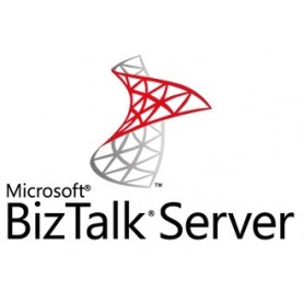 Microsoft BizTalk Server 2 licenza/e (HJA-01071)