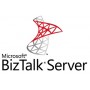 Microsoft BizTalk Server 2 licenza/e (HJA-01071)