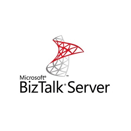 Microsoft BizTalk Server 2 licenza/e (D75-02347)