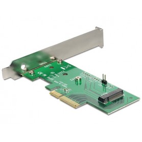 DeLOCK 89370 scheda di interfaccia e adattatore Interno M.2 (89370)